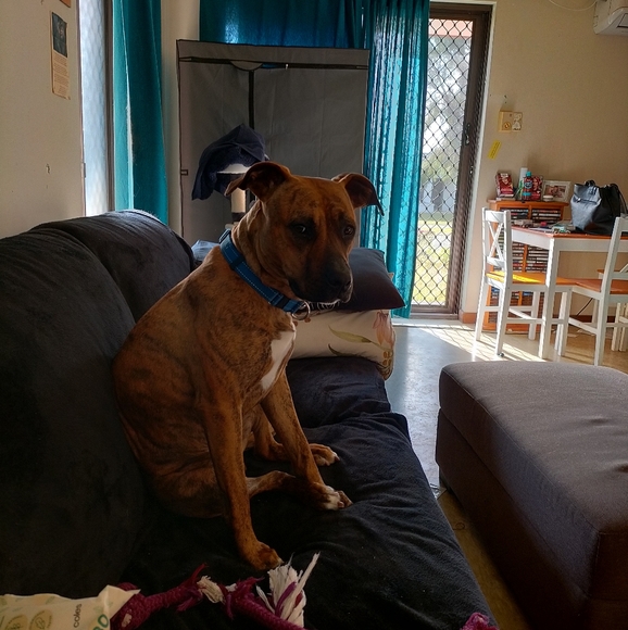 Meet your Posher, Michelle - Picture 2 of 4